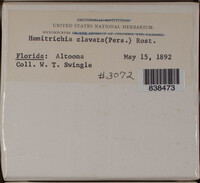 Image Associated With the Occurence